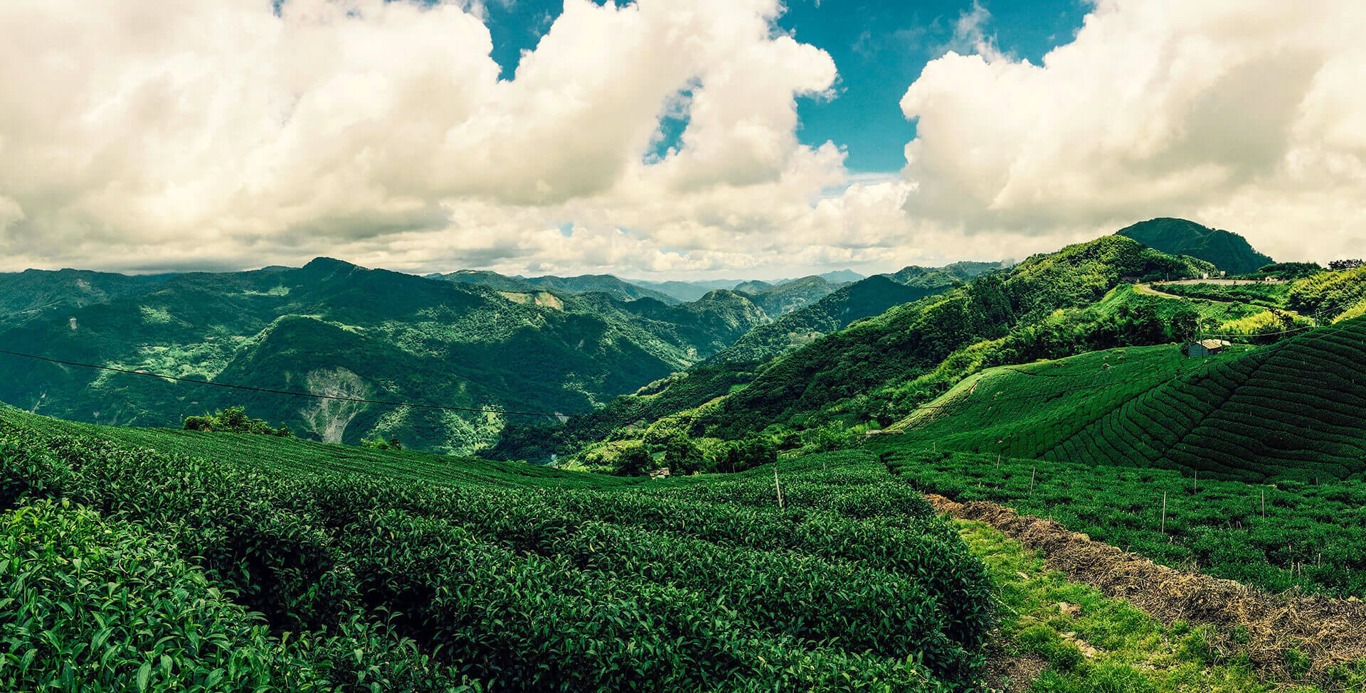 大統生物科技集團