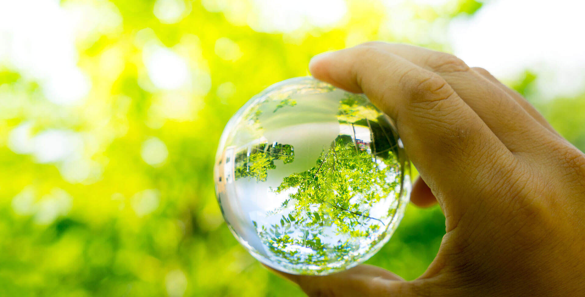 大統生物科技集團