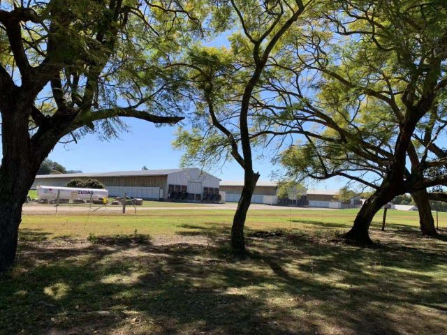 澳洲大统进行第一阶段肥料试验