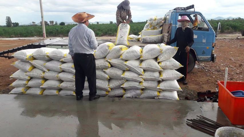 泰国大统建厂进度及肥料生产近况更新啰!